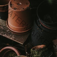 annie-spratt-dznisAmRlgc-unsplash annie-spratt-dznisAmRlgc-unsplash